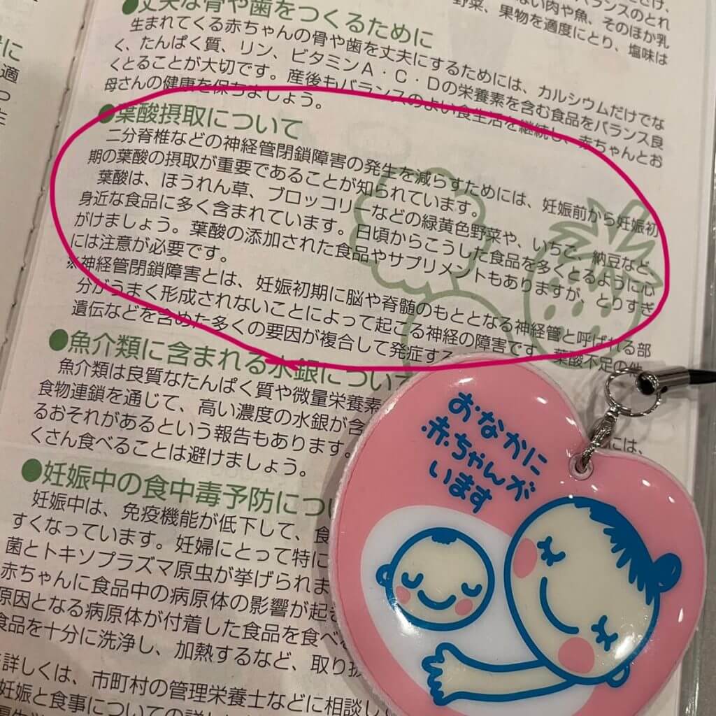 母子手帳の葉酸摂取に関する記載