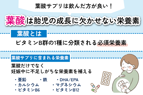 葉酸サプリと妊娠中の不足栄養素の説明