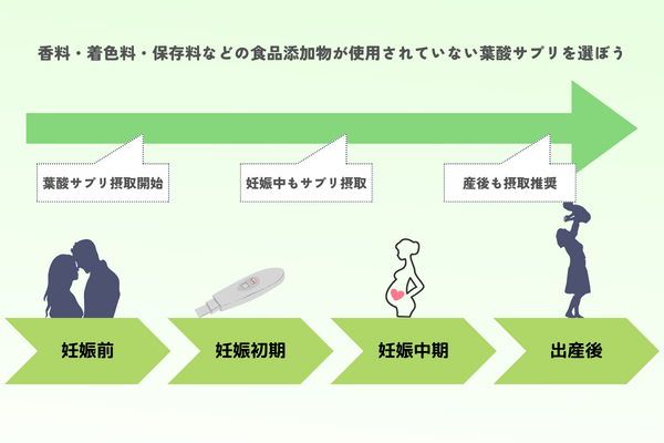 葉酸を摂取する時期を表した図