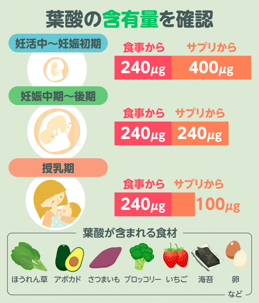 葉酸の含有量を確認